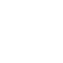 Customize icon