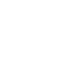 Mic